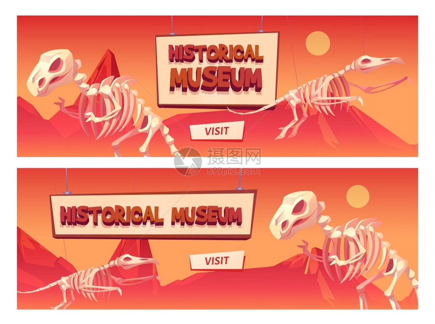 历史博物馆恐龙骨架图片