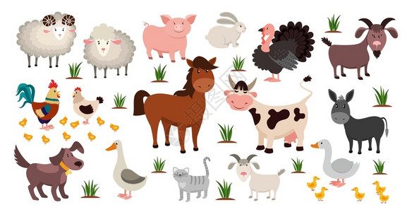 鹅马羊子农业养殖动物插画