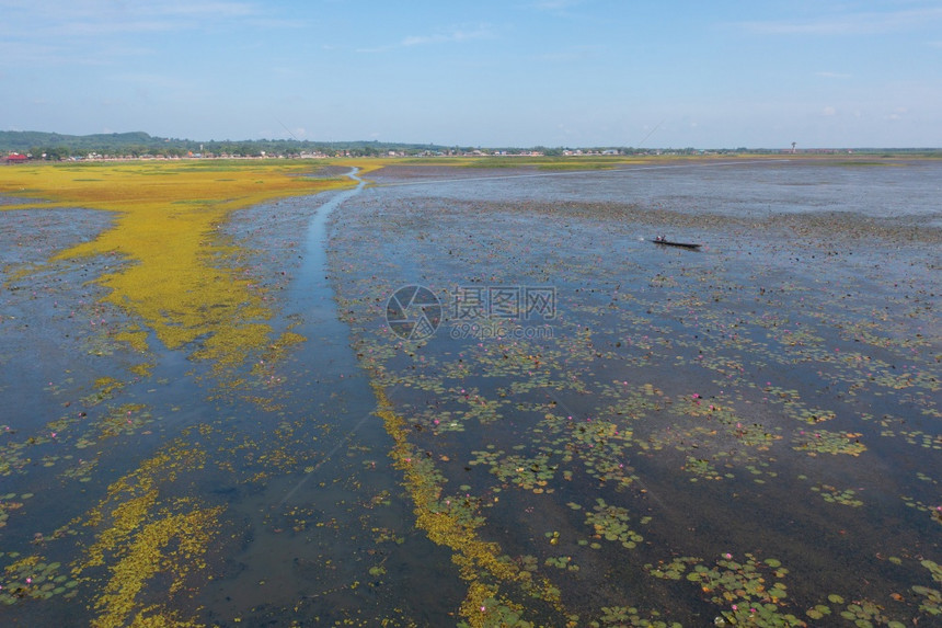 泰国Songkhla省ThaleNoi公园的池塘海洋或湖泊中粉红色莲花的空中最高视图图片