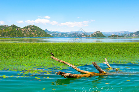 西丁杰古代的旅游业高清图片