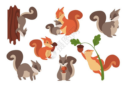 坚果树卡通可爱的松鼠插画