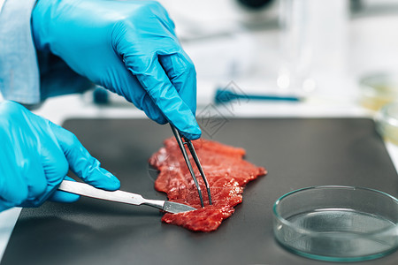 零残留红肉食品质量控制检查员在实验室分析牛肉样本食品质量控制红肉背景