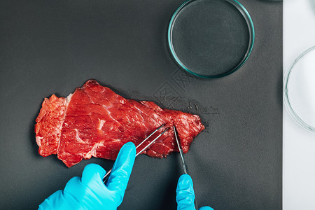 红肉食品质量控制检查员在实验室分析牛肉样本食品质量控制红肉图片