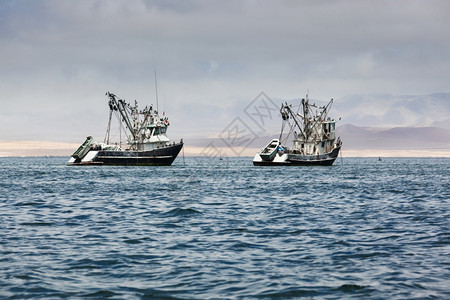 太平洋海湾的渔船图片