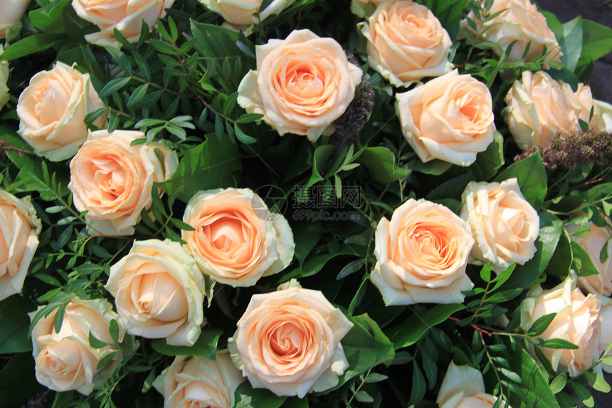花安排中的软橙色玫瑰图片