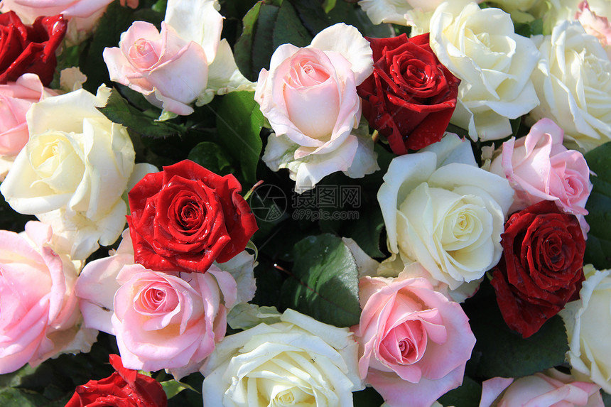 与红粉和白玫瑰的花安排图片
