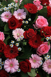 红和粉混合花安排中的杂和玫瑰图片