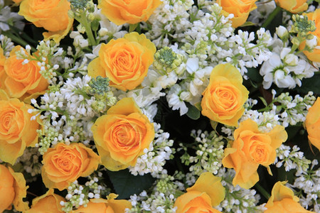 黄玫瑰花束白色西林加图片