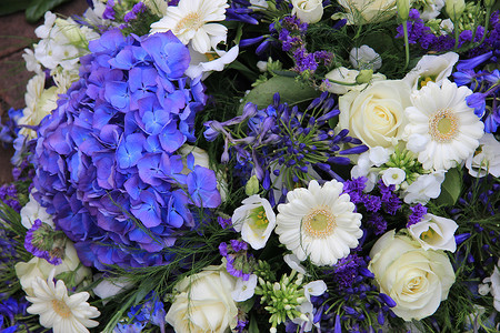 白和蓝色混合花群安排高清图片