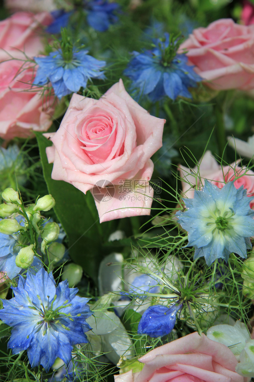 蓝色和粉红的花朵安排玫瑰和爱在雾中图片