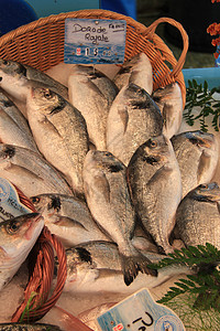 海鲷法国当地鱼市场上的新鲜海口背景