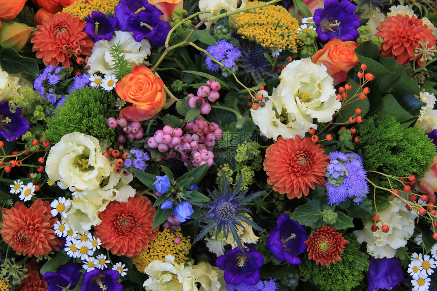 花朵安排和浆果以明亮的颜色图片
