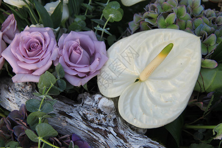 花朵与白和硅玫瑰以及一些杂花的配方图片