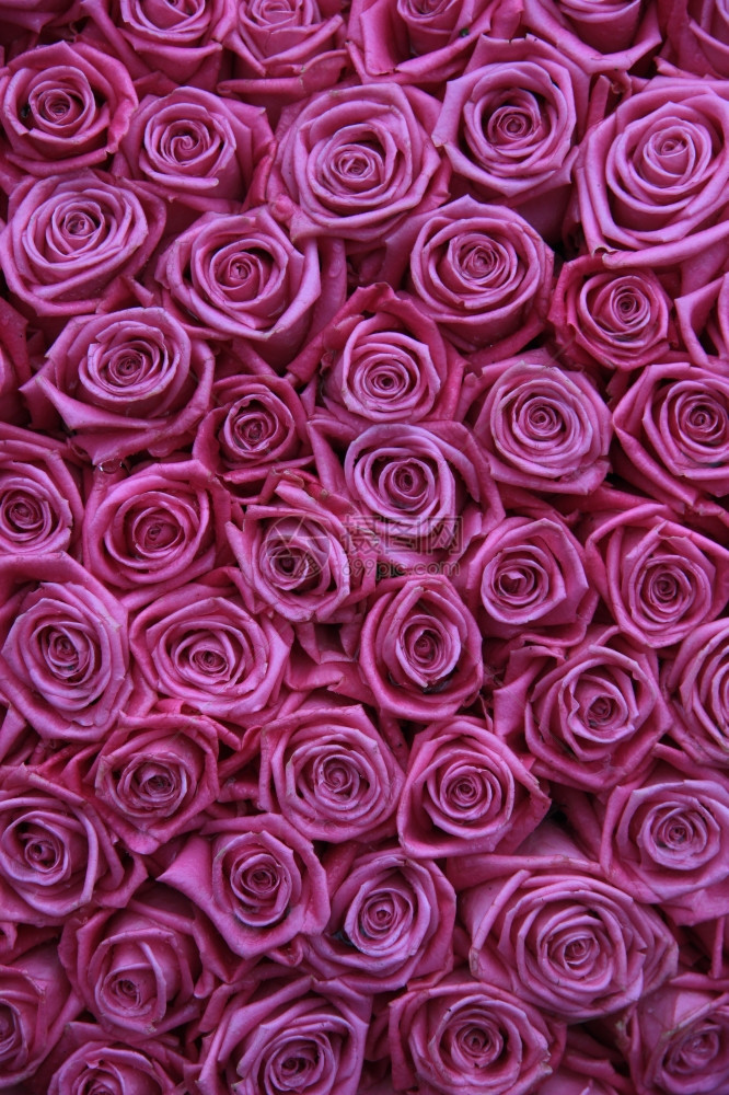 花卉安排中的粉红玫瑰组图片