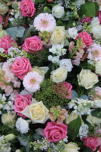 花朵安排白玫瑰和粉红花朵背景图片