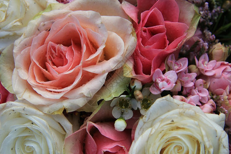 紧贴着一束带粉红和白玫瑰的新娘花束图片