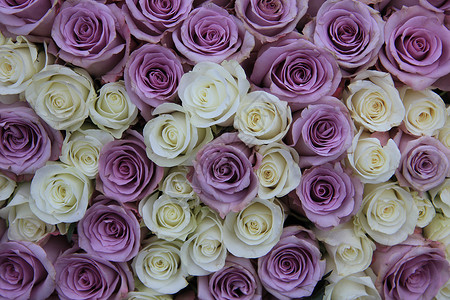 花朵配送中的一团紫花和白玫瑰图片