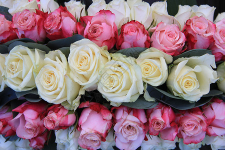 花安排粉红白玫瑰和叶子图片