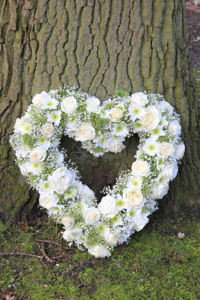 白色的心塑造了同情树旁的花岗布局图片