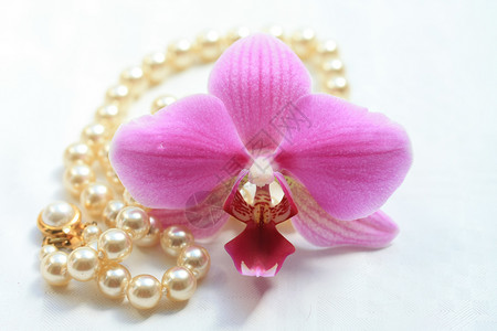 粉红兰花和白珍珠项链图片