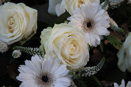 花香与玫瑰和白安排图片