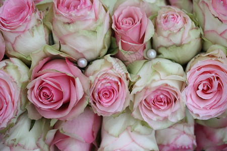 珍珠和彩花中的粉红白玫瑰图片