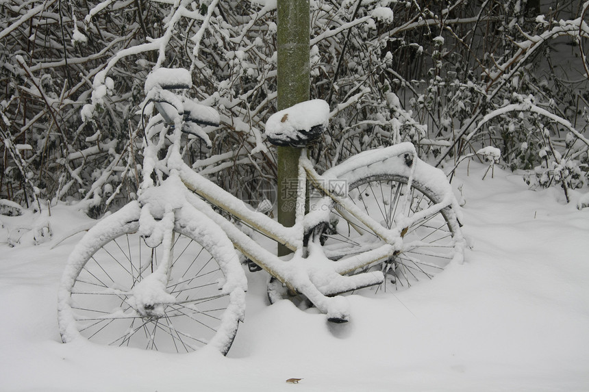 一辆自行车停在棵树旁被雪覆盖图片