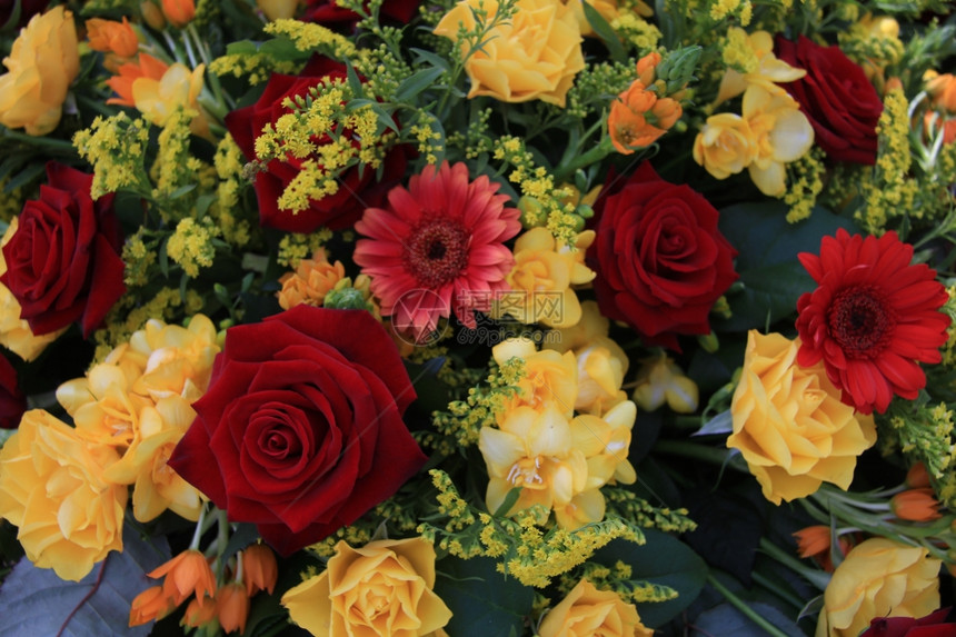 红玫瑰黄和花朵安排中的黄红自由图片