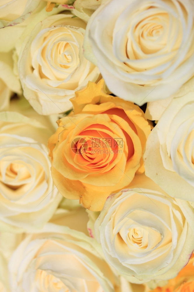 婚礼花朵安排中的白玫瑰和黄图片