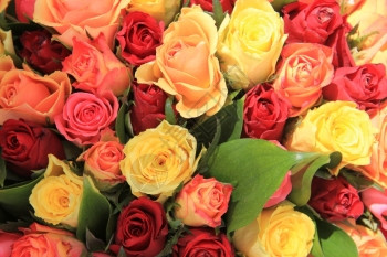 混合玫瑰花束中的黄粉和红玫瑰背景图片