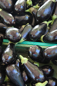 在法国市场上的Shiiny紫色茄子或Aubergine图片