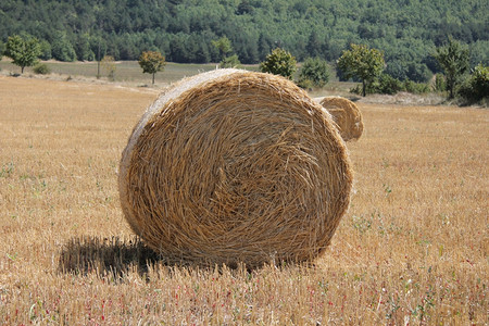 法国农田里的干草卷图片