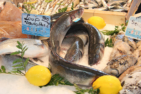鲜鱼在市的冰上展示在面图片