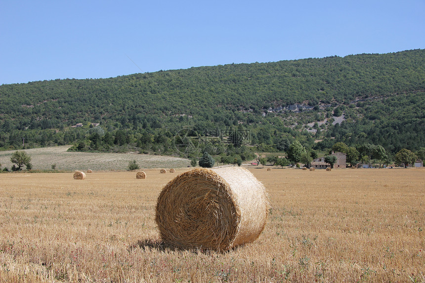 法国农田里的干草丛图片