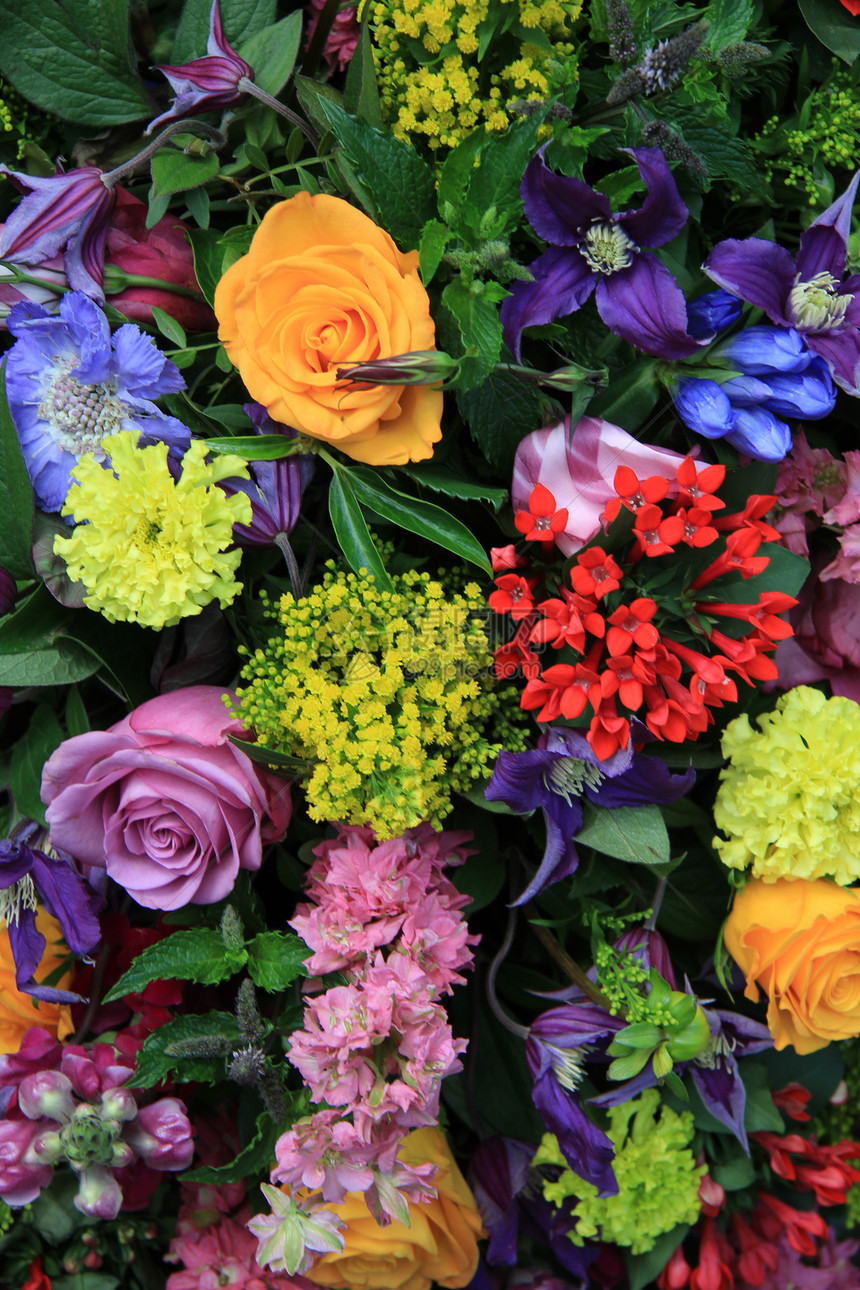 多种亮颜色的混合花卉安排图片