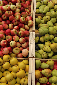 各种苹果和梨子在法国的普世市场图片