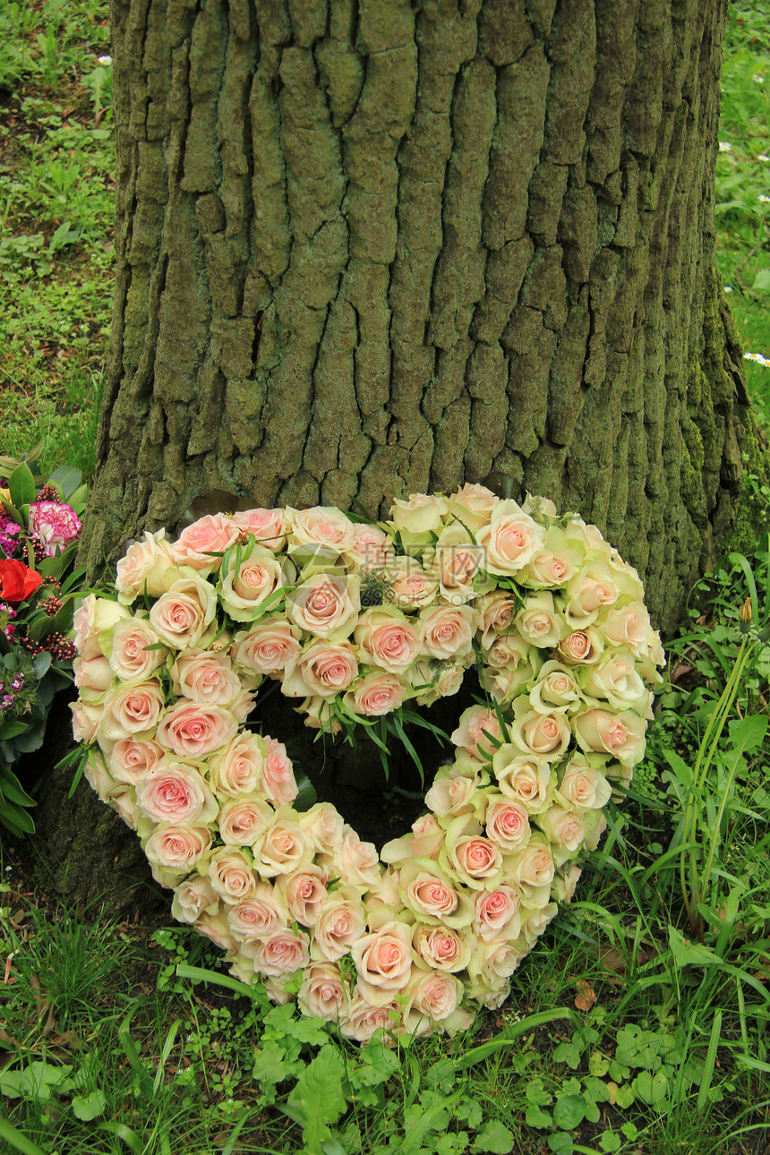 粉红玫瑰花在心形的同情安排上图片