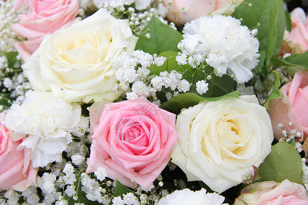 粉红和白的新娘花安排玫瑰和康乃馨背景图片