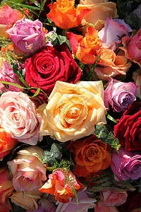 彩色玫瑰花束图片