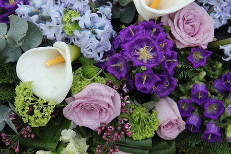 怀特加丽花蓝色和紫的婚礼安排图片