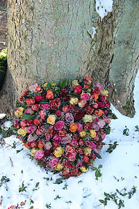 红心在雪中塑造了同情的花朵图片