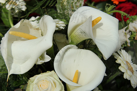 白花安排婚礼装饰图片