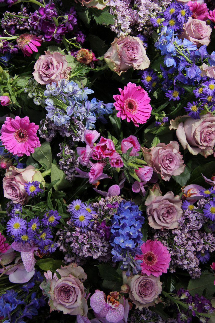 粉和蓝色的花安排图片