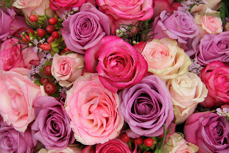 婚礼花各种面糊颜色的玫瑰背景图片