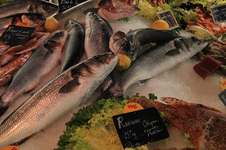 普罗旺斯市场鲜鱼和其他海产食品图片