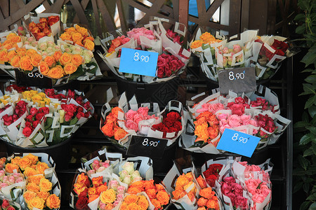 在普罗旺斯的艾克花市朵场各种颜色的玫瑰花束背景图片