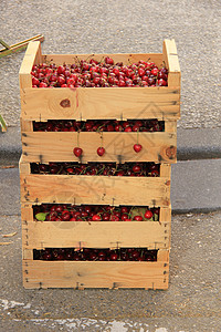 证明书市场小木箱的樱桃图片