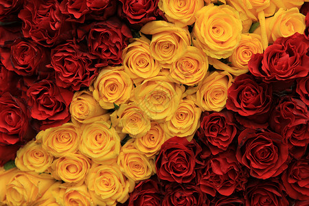 鲜花婚礼安排中的红玫瑰和黄背景图片