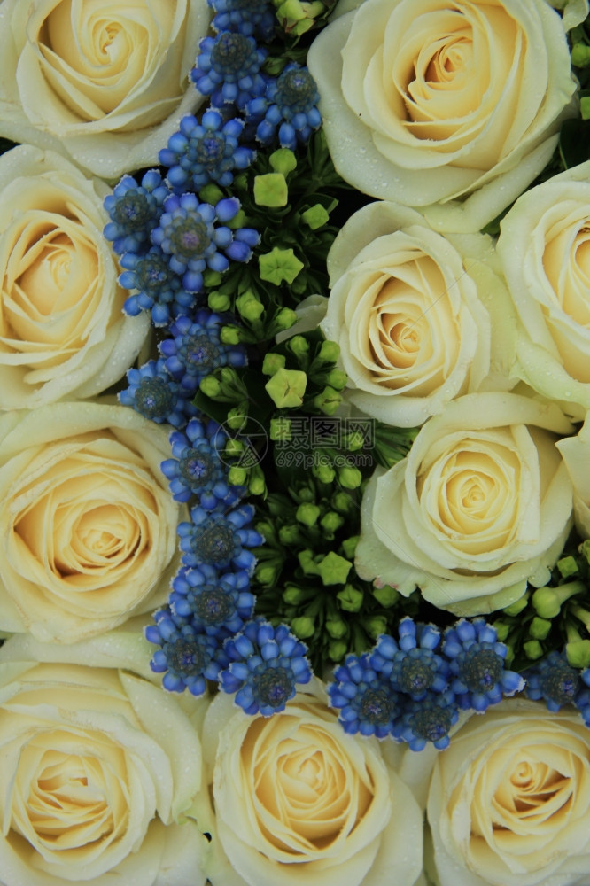 在婚礼花朵安排中蓝葡萄香和白玫瑰图片