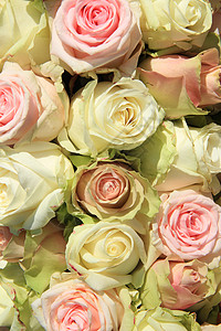 大维希特和粉红玫瑰在牧师的婚礼安排中图片